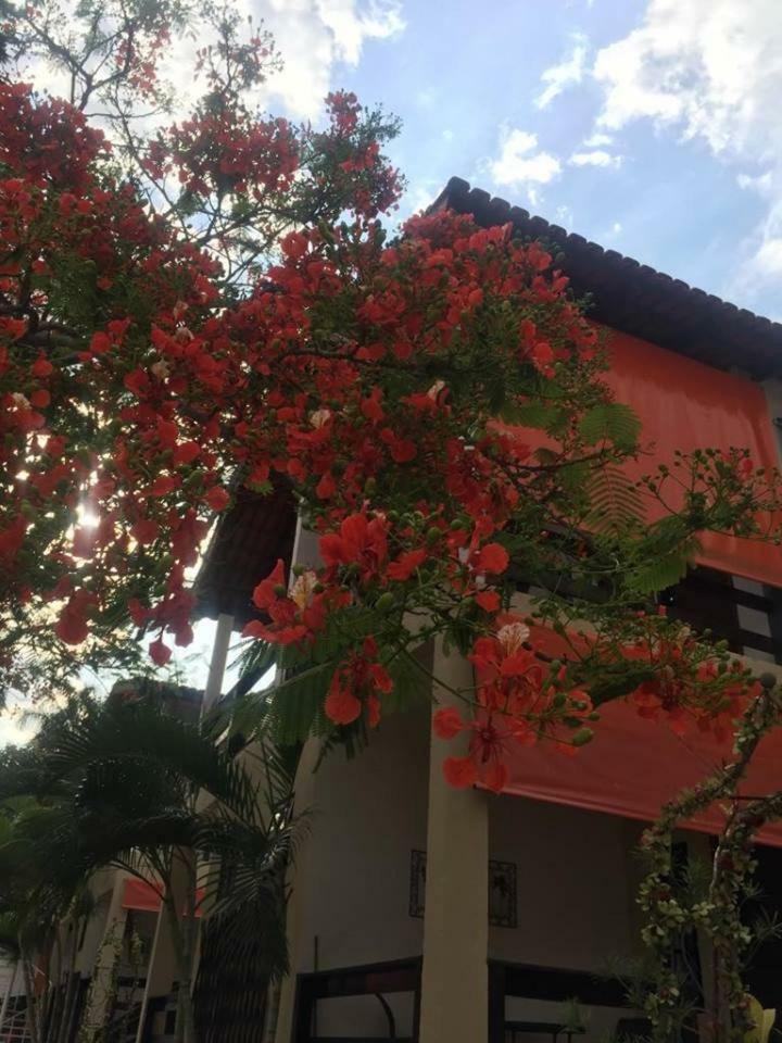 Pousada Das Seriemas Pirenopolis Exterior photo